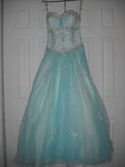 Alfred Angelo Prom Dress: Dragonfly color