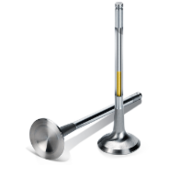 How essential Engine Valves are for engines?